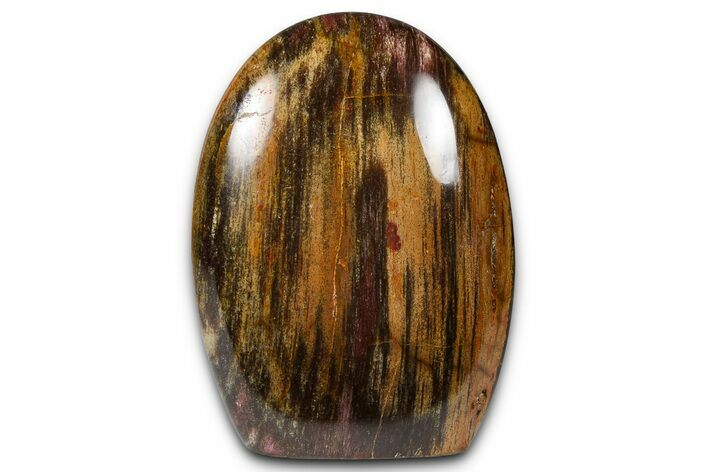 Free-Standing, Polished Petrified Wood - Madagascar #376106